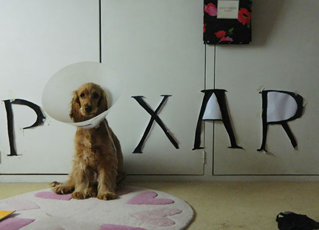 chien-pixar