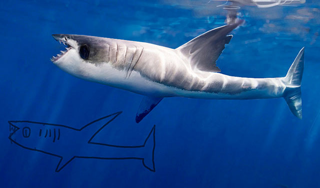 dessin-enfant-requin