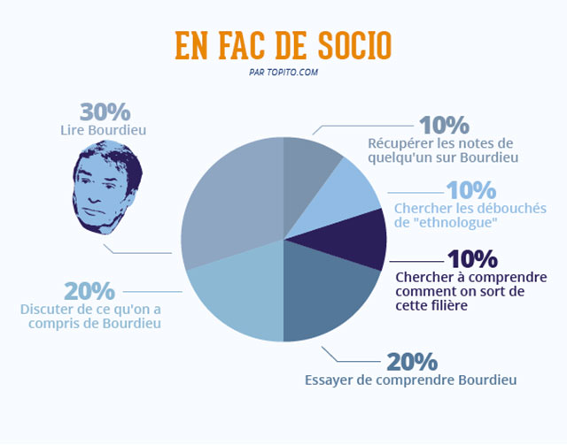 fac-socio-infographie