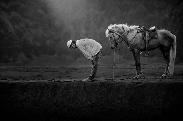 Sony-World-Photography-Awards-cheval