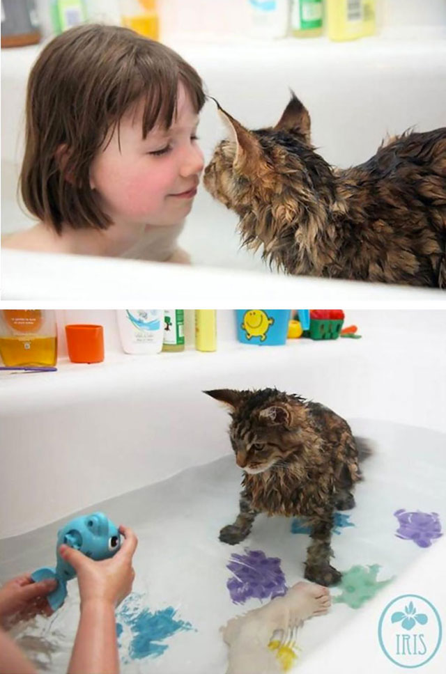 chat-aime-eau-019