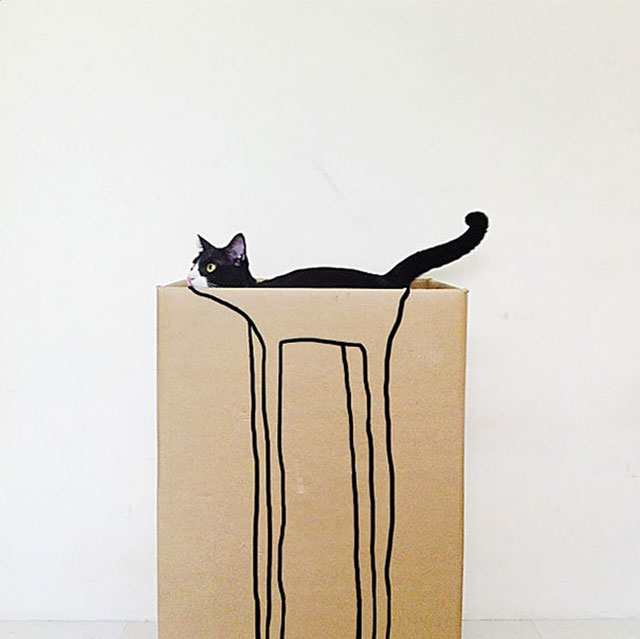 chat carton