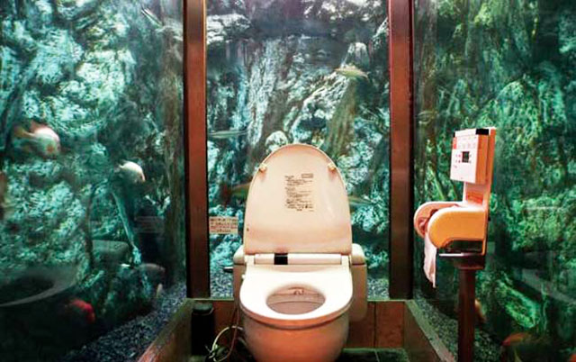 aquarium-toilette