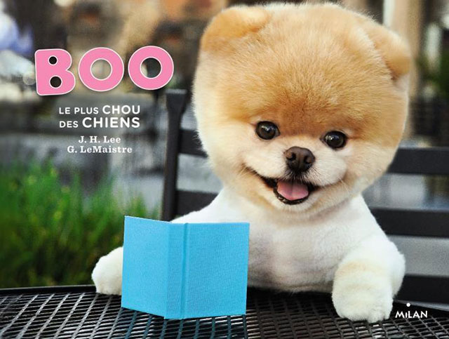 livre chien boo