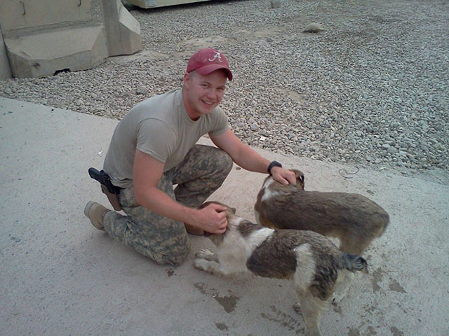 animaux soldats