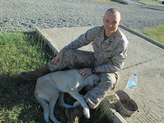 animaux soldats