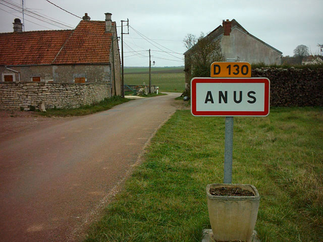 ville anus