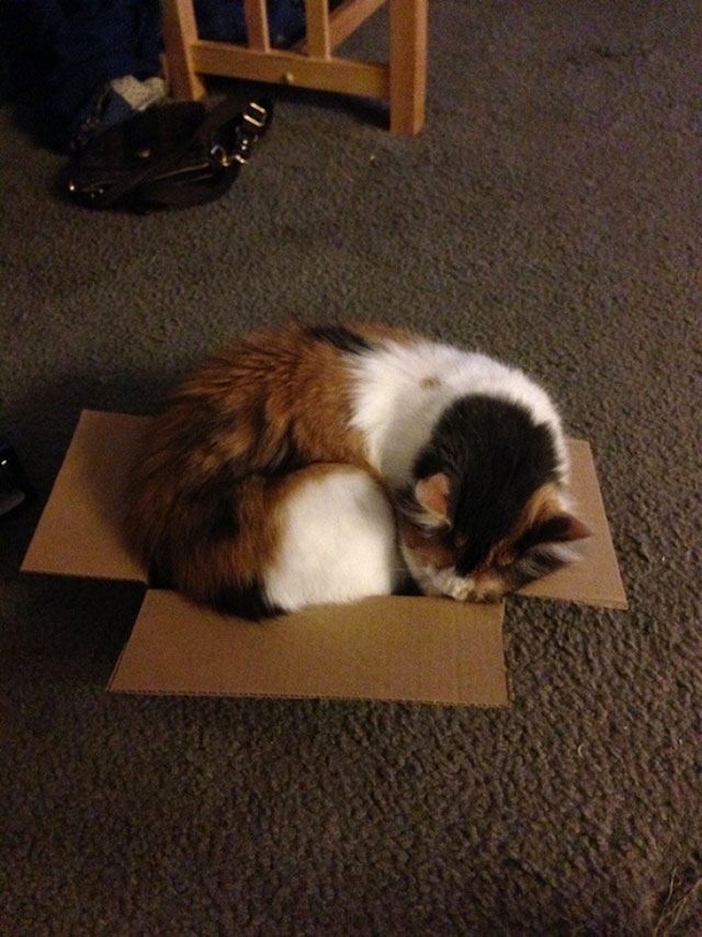 chat carton