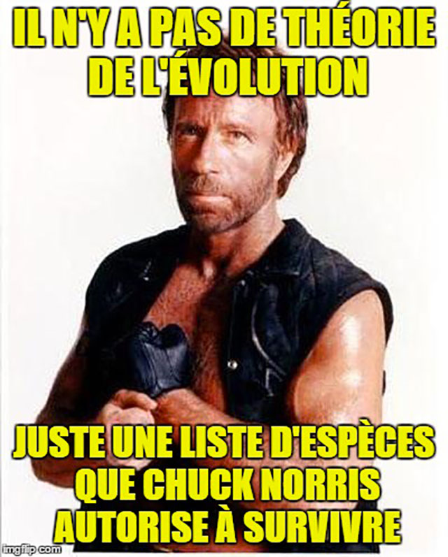 Chuck Norris facts francais