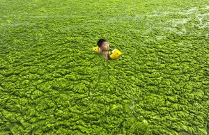 enfant nage dans algues